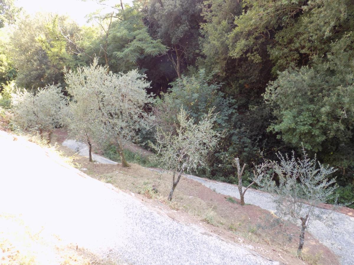 Fattoria Ceragioli Villa Camaiore Exterior photo